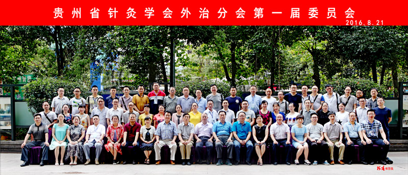 2017年贵州省针灸学会外治分会第一届委员合影